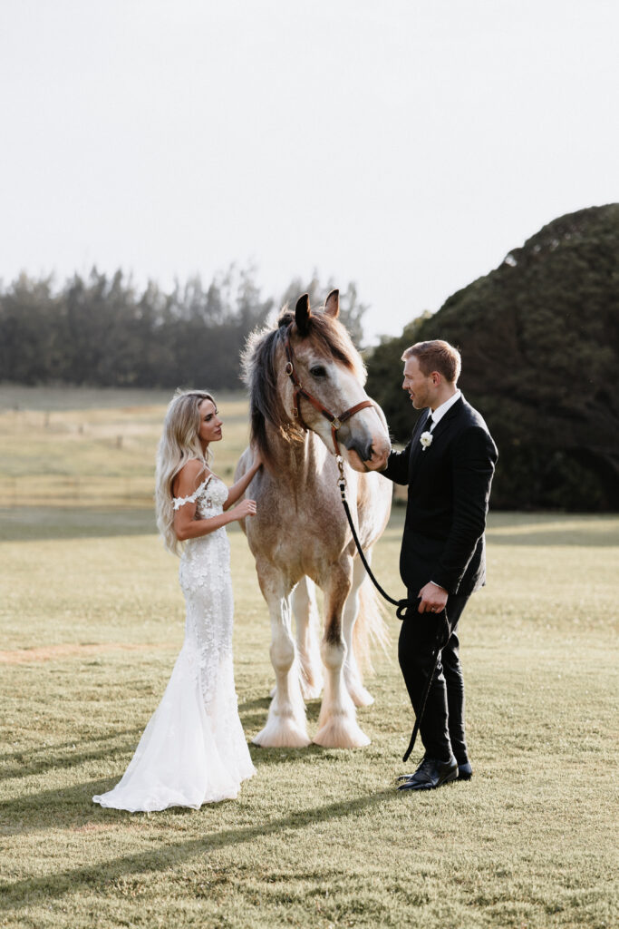 Couple effortlessly posing with horse at a ranch during their wedding